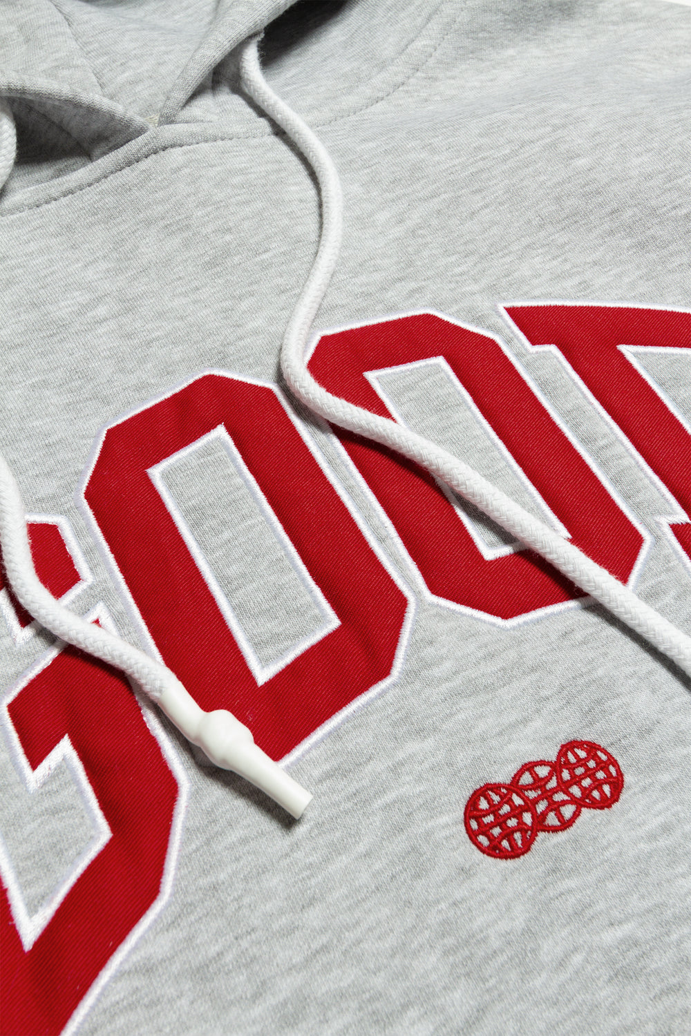 ALUMNI HOODY GREY